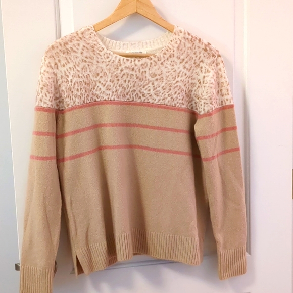 beachlunchlounge Sweaters - beachlunchlounge Collection Sweater